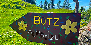 Alp B&ouml;den am Toggenburger H&ouml;henweg -  Ferien zum Entspannen