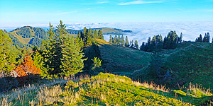Alp B&ouml;den am Toggenburger H&ouml;henweg -  Ferien zum Entspannen