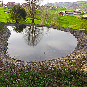 Tiefbau - Früh Tiefbau GmbH